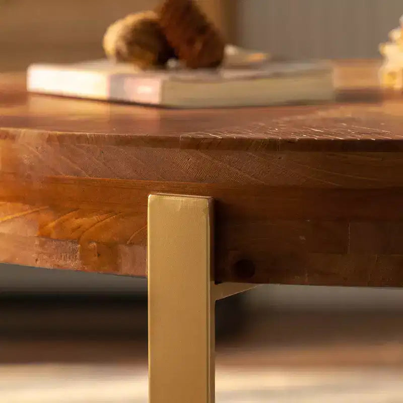 Tavolino da caffè rotondo moderno, con un design in metallo e legno, adatto per casa, ufficio e per arredare.